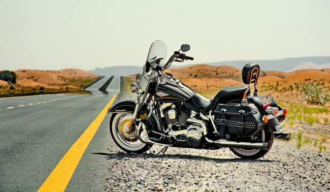 Обои картинки фото мотоциклы, harley-davidson, moto