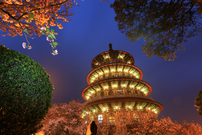 Обои картинки фото города, - огни ночного города, парк, ночь, башня, огни