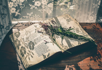 Картинка разное канцелярия +книги книга