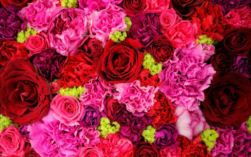 Картинка цветы разные+вместе гвоздики макро букет розы