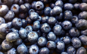 Картинка еда голубика +черника черника макро ягоды