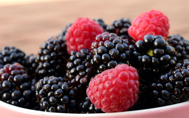 Обои картинки фото еда, ежевика, макро, ягоды