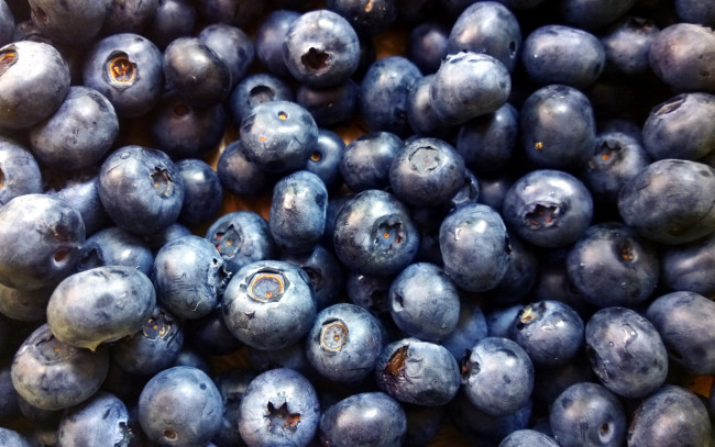 Обои картинки фото еда, голубика,  черника, черника, макро, ягоды