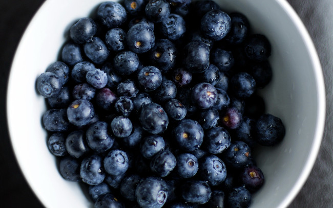 Обои картинки фото еда, голубика,  черника, миска, капли, ягоды, черника