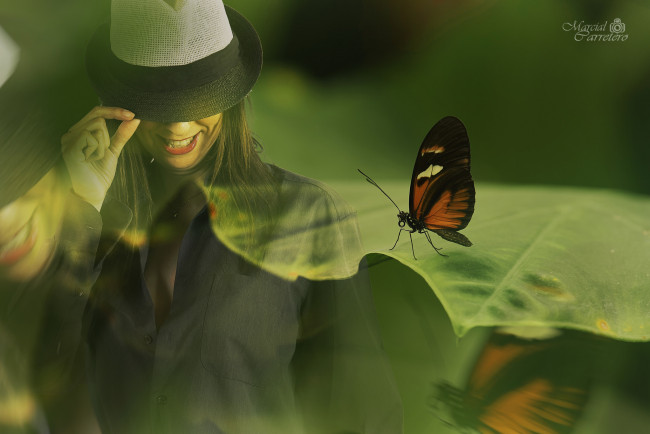 Обои картинки фото разное, компьютерный дизайн, бабочка, девушка