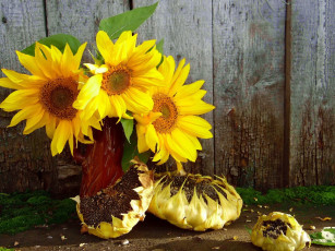 Картинка разное компьютерный+дизайн семечки подсолнухи натюрморт