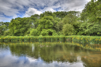 Картинка природа реки озера простор