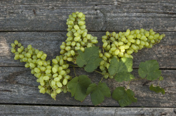 Картинка еда виноград гроздья фон листья