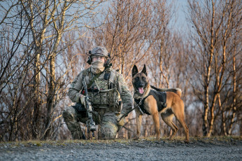 Картинка оружие армия спецназ солдат собака