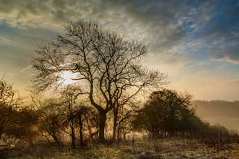 Картинка природа пейзажи простор