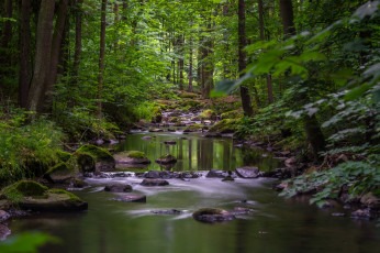 Картинка природа реки озера простор