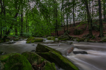 Картинка природа реки озера простор