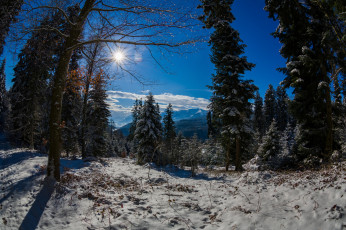 Картинка природа зима простор