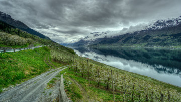 Картинка природа дороги простор