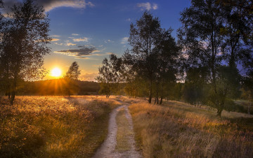 Картинка природа восходы закаты дорога закат осень