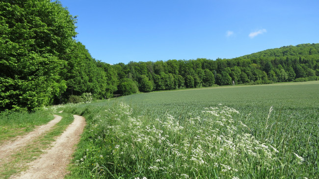 Обои картинки фото природа, дороги, облака, поля