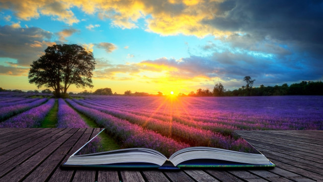 Обои картинки фото разное, компьютерный дизайн, книга, цветы, закат