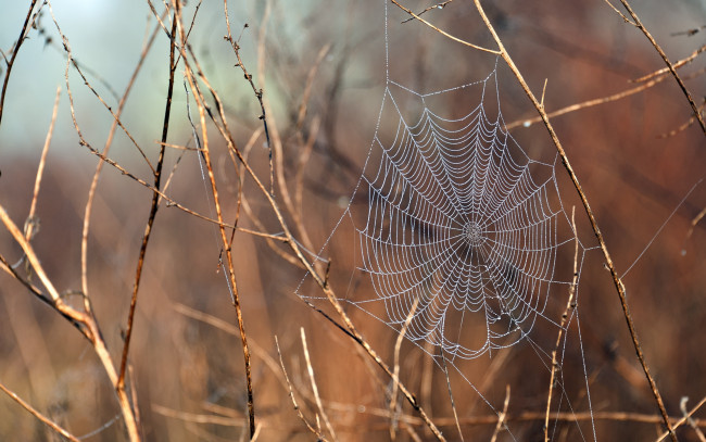 Обои картинки фото природа, макро, свет, вода