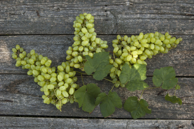 Обои картинки фото еда, виноград, гроздья, фон, листья