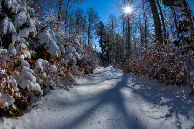 Обои картинки фото природа, зима, простор