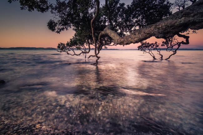 Обои картинки фото природа, пейзажи, простор