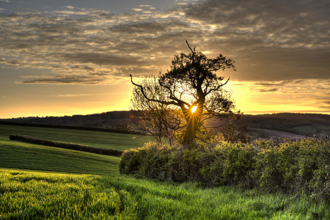 Обои картинки фото природа, пейзажи, простор