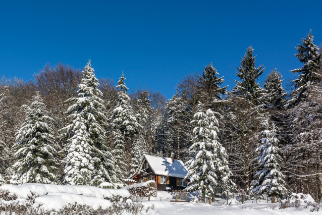 Обои картинки фото природа, зима, простор