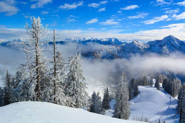 Обои картинки фото природа, зима, простор