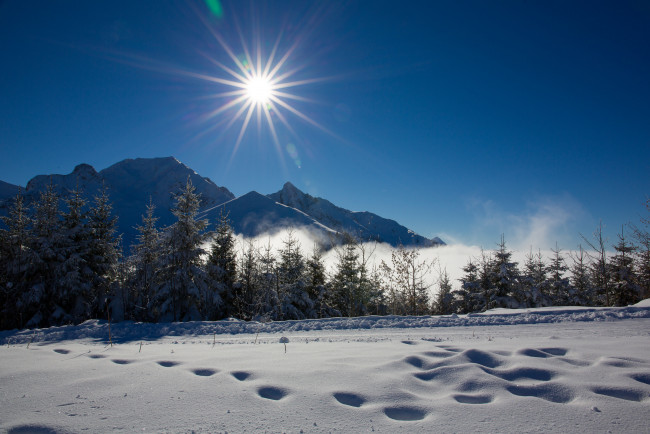 Обои картинки фото природа, зима, простор