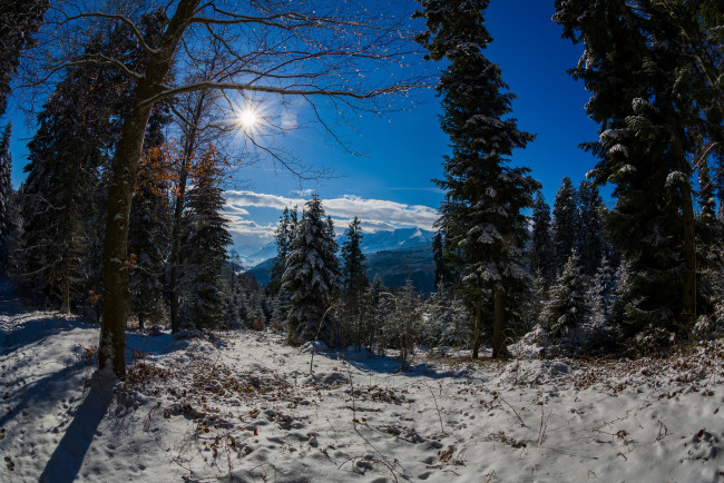 Обои картинки фото природа, зима, простор