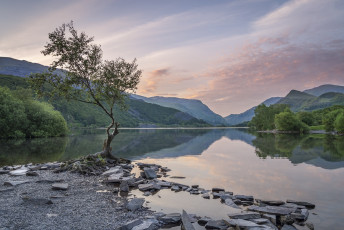 Картинка природа реки озера простор