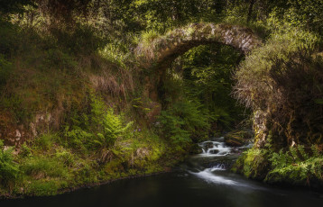 Картинка природа реки озера простор