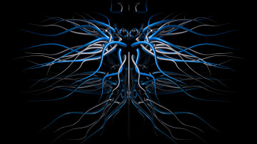 Картинка 3д+графика абстракция+ abstract фон узор цвет