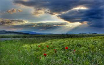 Картинка природа поля простор