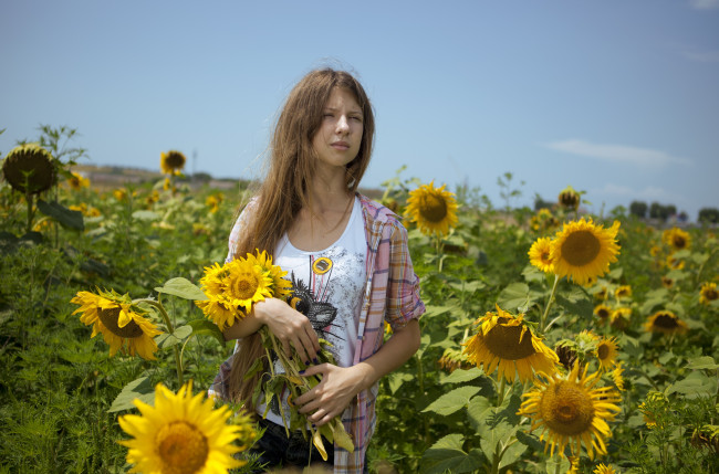 Обои картинки фото девушки, -unsort , блондинки,  светловолосые, подсолнухи, рубашка, футболка, блондинка