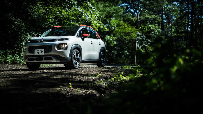 Обои картинки фото автомобили, citroen, ds