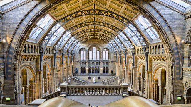 Обои картинки фото интерьер, дворцы,  музеи, музей, естествознания, natural, history, museum, южный, кенсингтон, лондон, великобритания