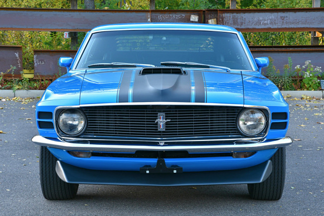 Обои картинки фото автомобили, mustang