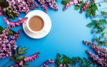 Картинка еда кофе +кофейные+зёрна сирень дицентра