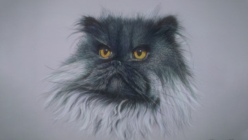 обоя 295870, рисованное, животные,  коты, морда, кота