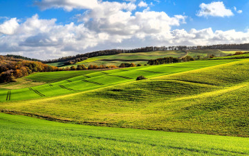 обоя природа, поля, небо, облака, рощи, деревья, осень, холмы