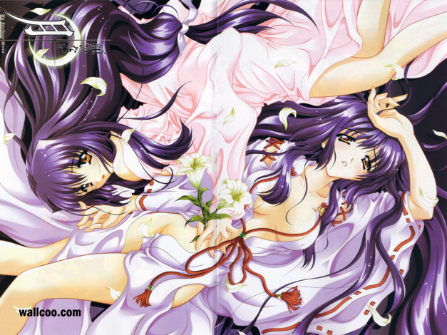 Обои картинки фото аниме, moonlight, lady