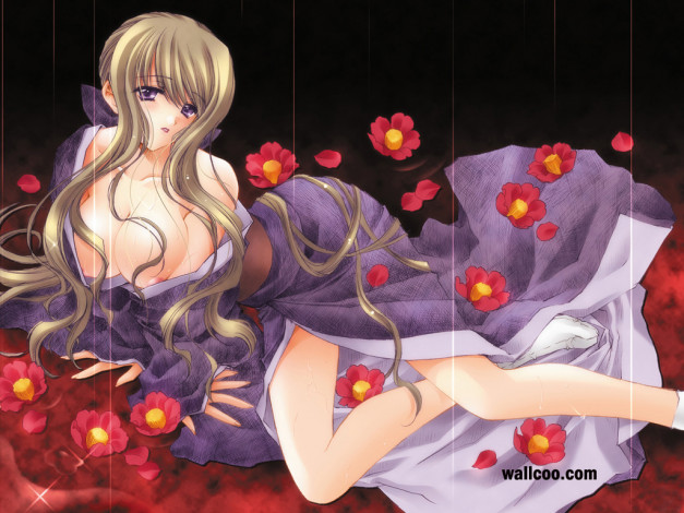 Обои картинки фото аниме, moonlight, lady