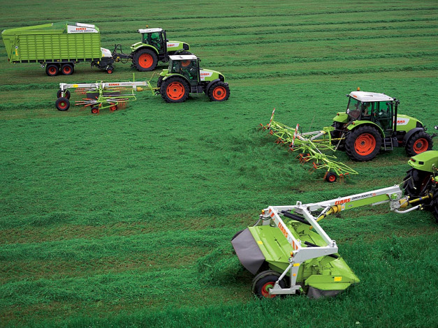 Обои картинки фото техника, тракторы