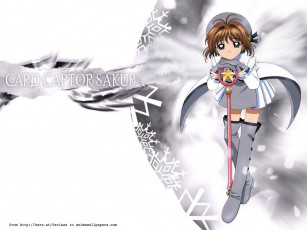 Картинка аниме card captor sakura