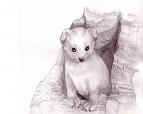 Картинка рисованные животные