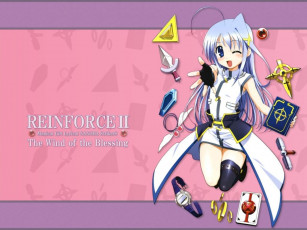 Картинка аниме mahou shoujo lyrical nanoha