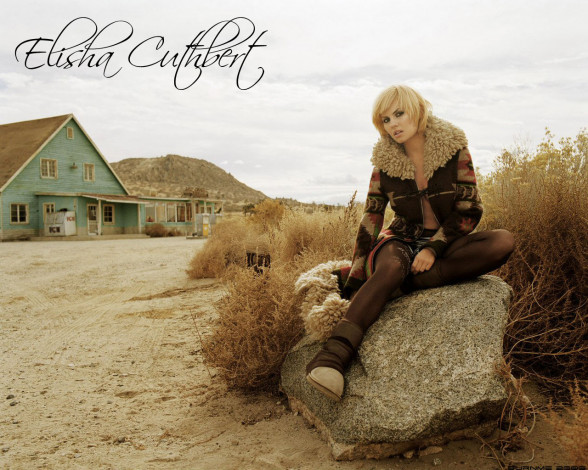 Обои картинки фото Elisha Cuthbert, девушки