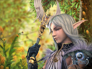 Картинка видео игры last chaos