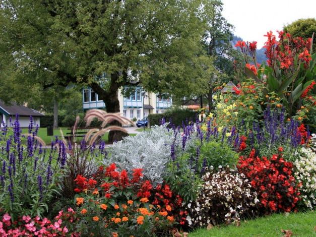 Обои картинки фото цветы, разные, вместе